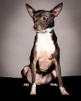 Foster Luc-9651