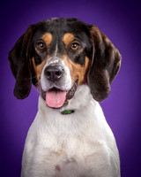 Foster Goofy-0933