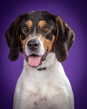 Foster Goofy-0933