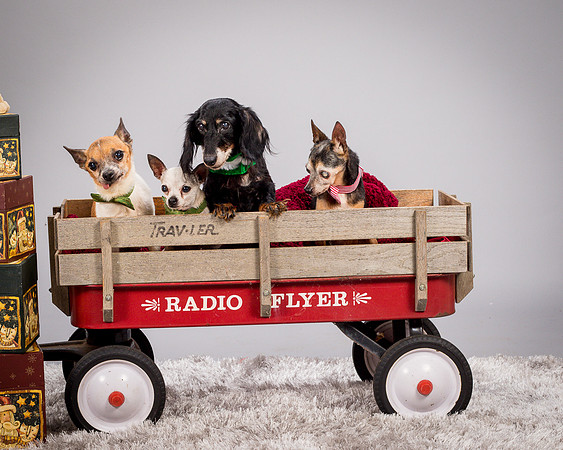 Foster Hospice Gang-3941