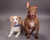 Red and Max Griner-7592