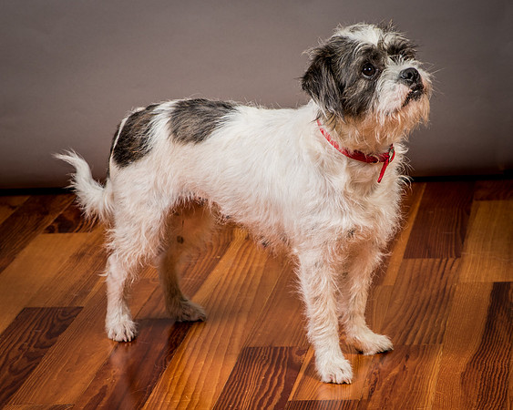 Foster Leeza-2821