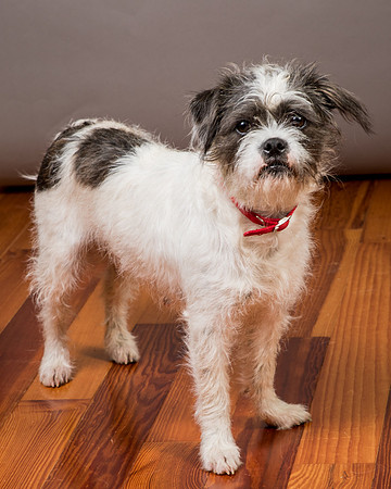 Foster Leeza-2861