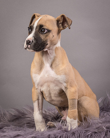 Foster Barnabas-4496