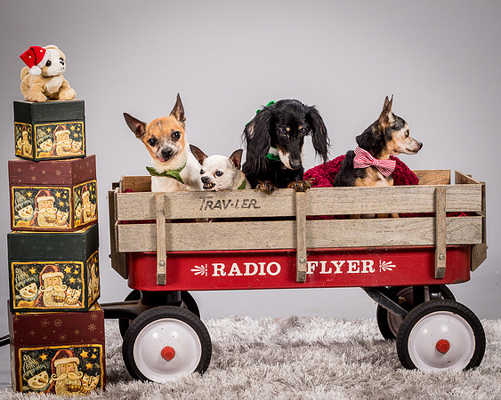 Foster Hospice Gang-3952