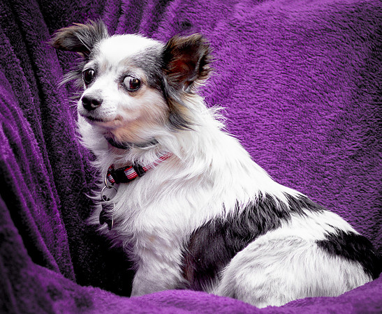 Foster Anouk-8758