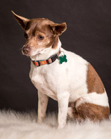 Foster Gus-0294