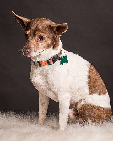Foster Gus-0294