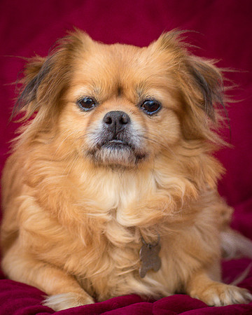 Foster Tia Maria-7951