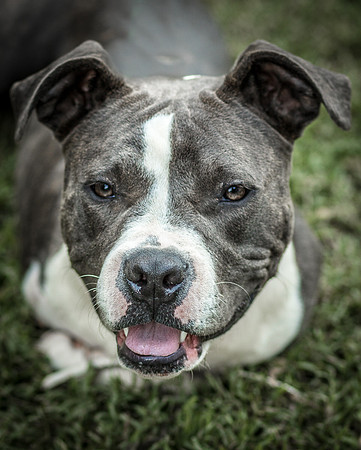 Foster Maya-0286