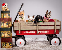 Foster Hospice Gang-3818