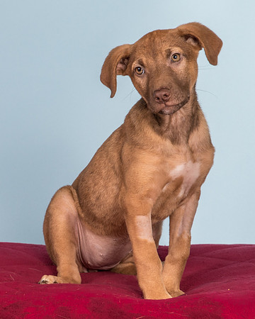 Foster Bronwyn-8368