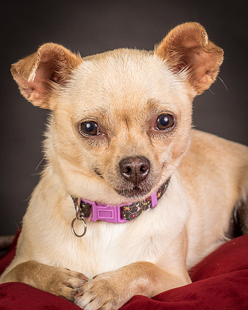 Foster Brielle-0127
