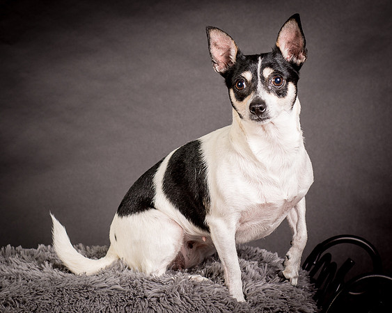Foster Richa-0466