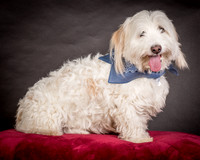 Foster Frosty-0529