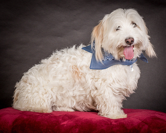 Foster Frosty-0529