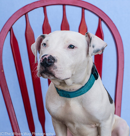 Foster Curt-9218