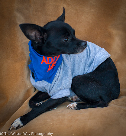 Foster Twiggy-8976
