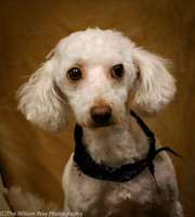 Foster Loretta-0200
