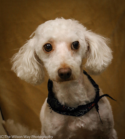 Foster Loretta-0200