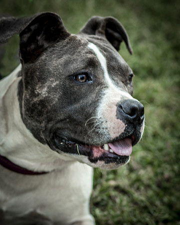 Foster Maya-0290