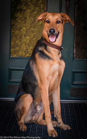 Foster Caesar-9394
