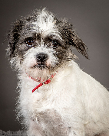 Foster Leeza-2653