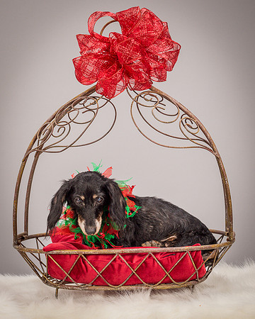 Foster Bernice-3738