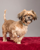Foster Toffee-4591