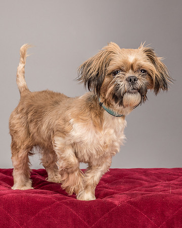 Foster Toffee-4591