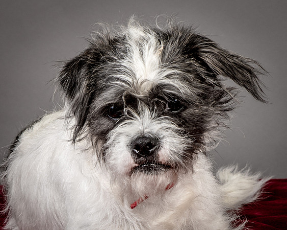 Foster Leeza-2725