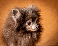 Foster Loretta-1264