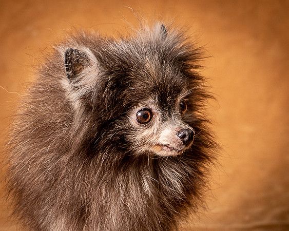 Foster Loretta-1264