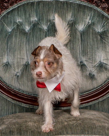 Foster Reagan-4877