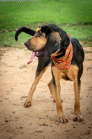 Jethro-0848