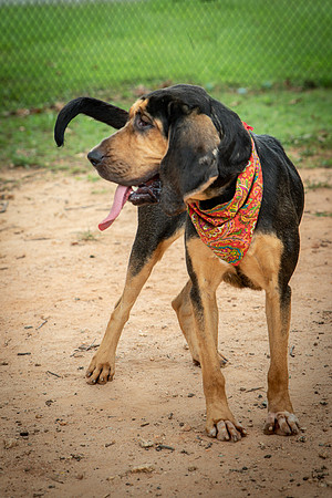 Jethro-0848