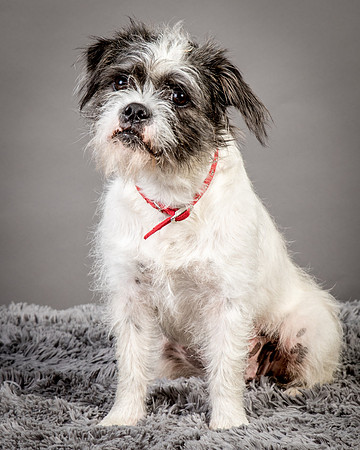 Foster Leeza-2673