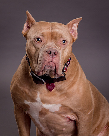 Maggie Griner-7547