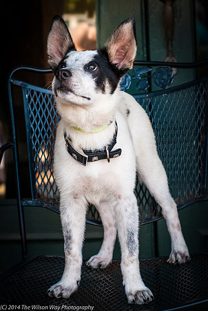 Foster Oliver-8979