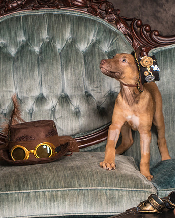 Foster Bronwyn-8296