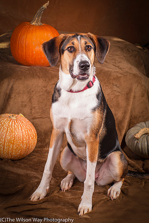 Molly-4472