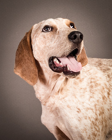 Foster Memphis-3055