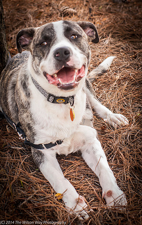 Foster Louie-9713