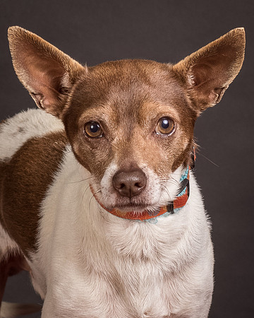 Foster Gus-0383