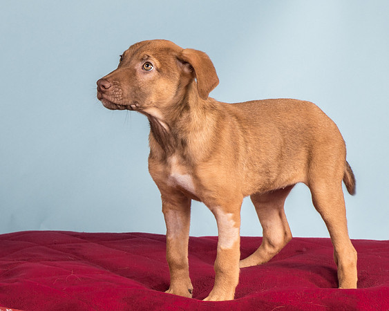 Foster Bronwyn-8388