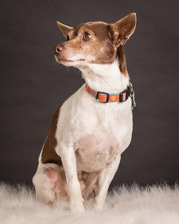 Foster Gus-0326