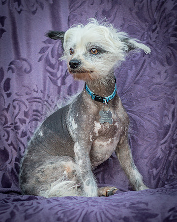 Foster Freckles-5425