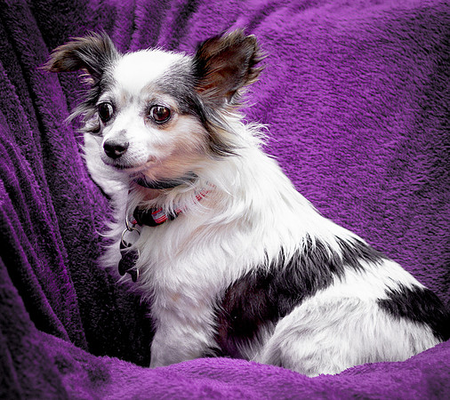 Foster Anouk-8756