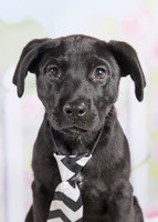 2016Mar12_3278 buddy