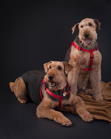 Martha May & Smitty-5206